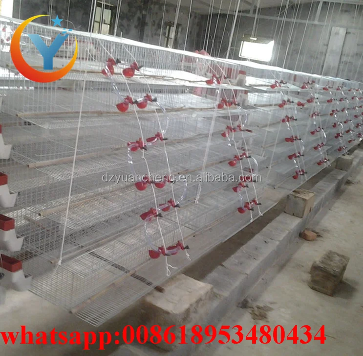 Factory Direct New Design Layer Quail Farming Cage For Saleh A Typemade In China Buy Design Layer Quail Cagequail Farming Cagequail Cage For