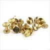 Manufacturer Fashion Parts of Threads Brass Chicago Screws for Decoration