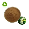 Top Selling Tilia Europaea Flower / Linden Flower Extract Powder