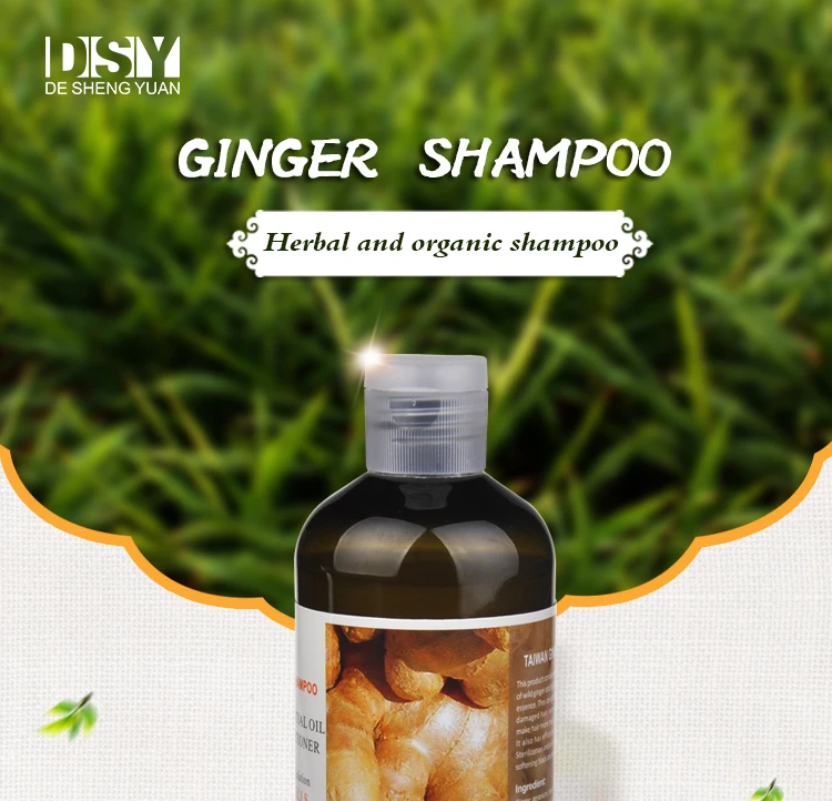 300ml Organic Ginger King Hair Regrowth Essence Shampoo Private Label For Hair Loss Treatment