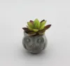 Artificial Succulents simulated potted plants in simple cube cement pot for home decor