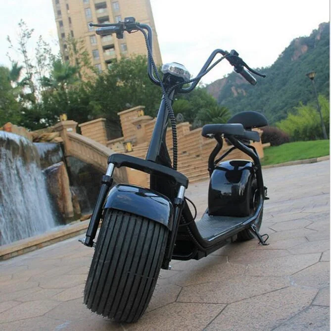 New Style Fat Tire Electric Scooters Citycoco Double Removable Battery1000w Eec Adult Electric 1750