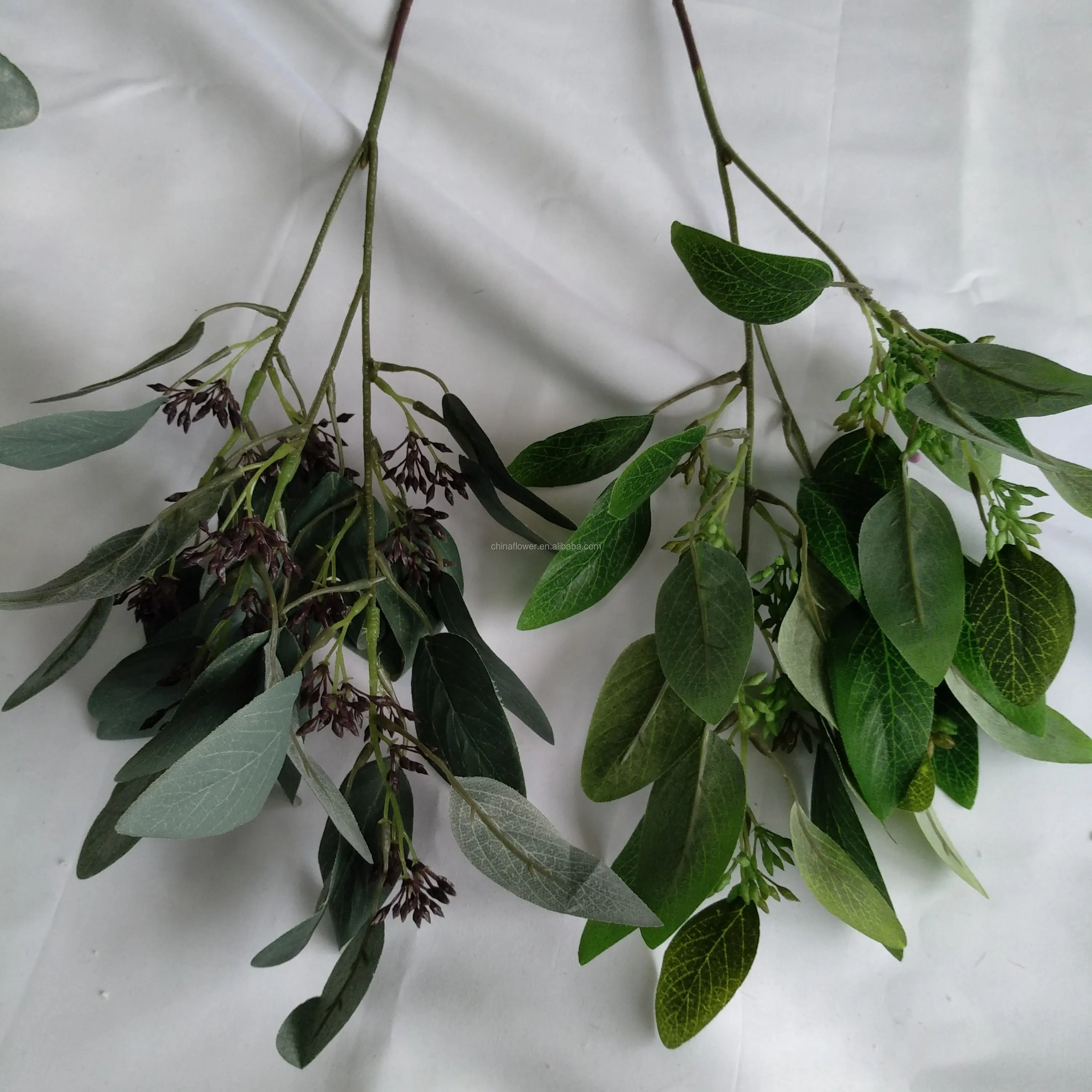 eucalyptus leaves  (3).jpg