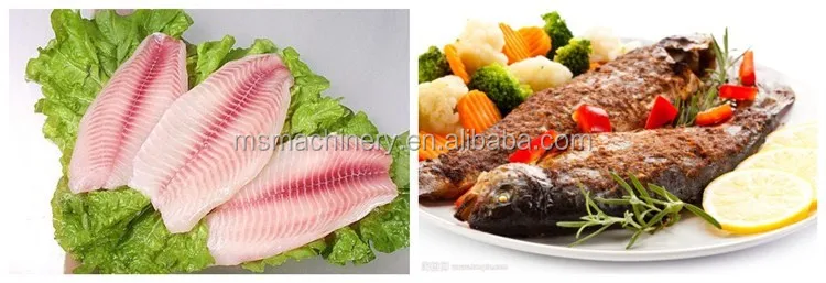 automatic fish cleaning scaling gutting machine