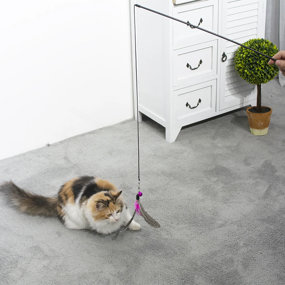 Promotional Teaser Funny New Design Bulk High Quality Best Manufacturers  Wholesale Interactive Fish Pet Cat String Toy Wand - Buy Cat Toy,Wholesale  Cat Toys,Cat Toys Interactive Product on Alibaba.com