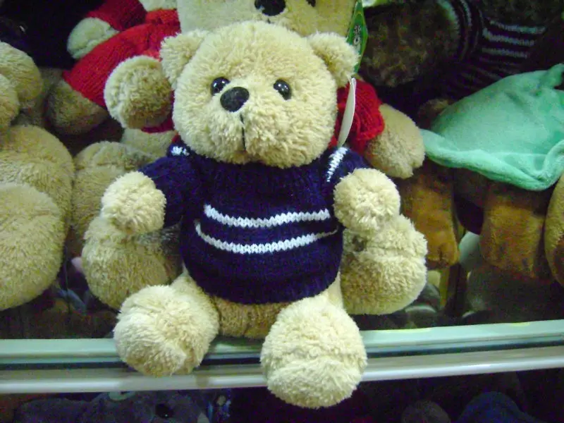 voice box teddy bear