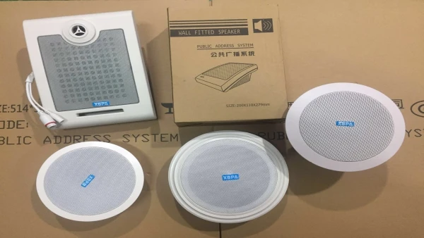 IP waterproof column speaker ----IP Wall-mounted Speaker IP horn waterproof speak 20W 30W - ANKUX.COM