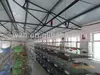 light steel structure--poultry/chicken/birds/pigeon farms from Weizhengheng Light Steel Group in China,best quotation!!!