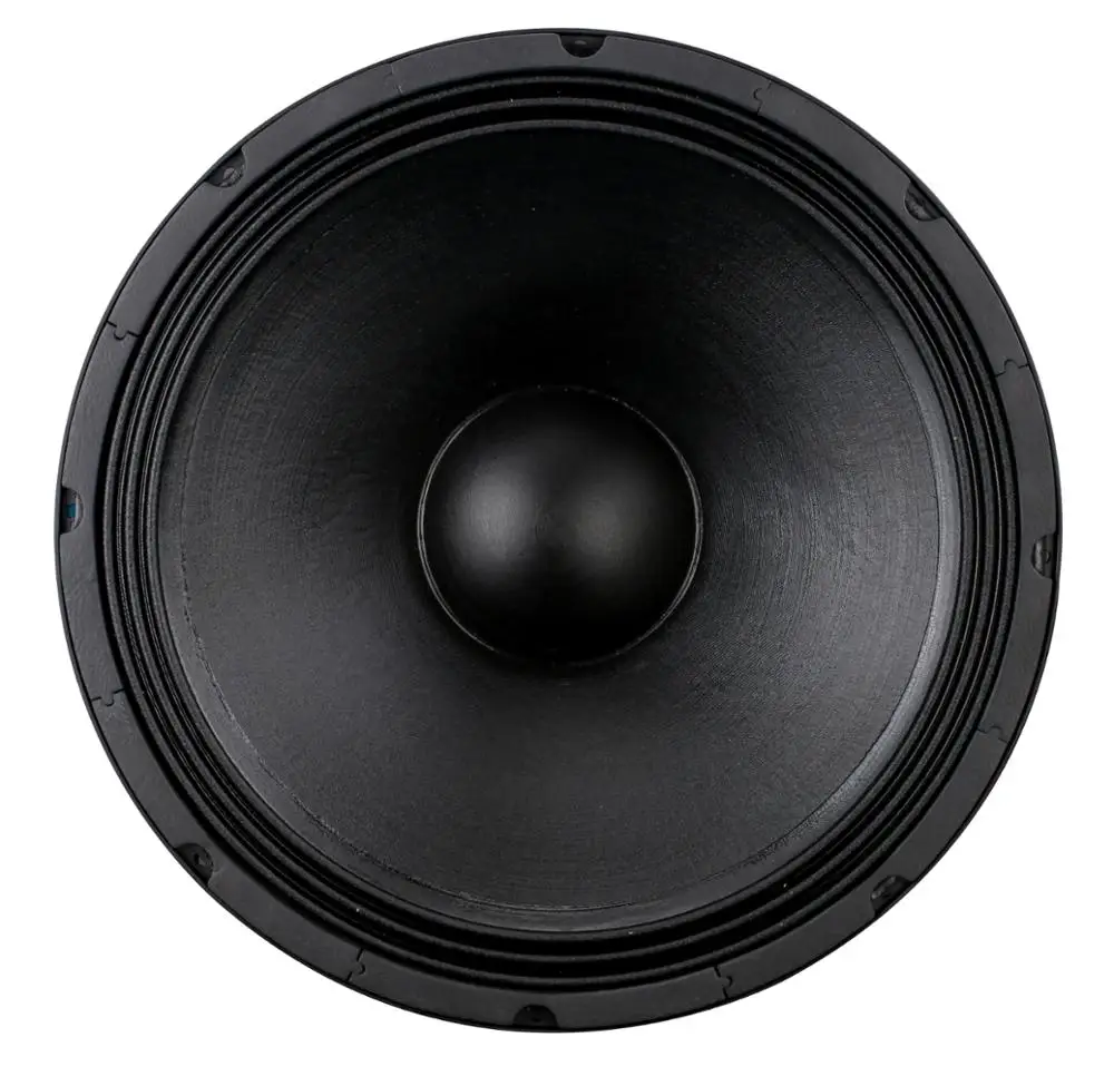 p audio speakers 18 bass