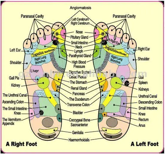 Two people use ionic foot bath detox machine ion cleanse Health care for sleep improvement