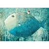 Personalised Diy Oil Painting Magical Big Fish On The House Paint By Numbers Photo Wall Pictures For Living Room Home Decoration