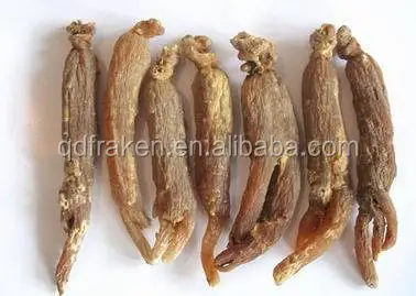 red ginseng root -4.jpg