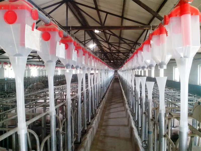 Full Set Pig Farm Equipments Automatic Feeder Pig Farrowing Automatic