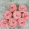 Hot new quality stabilized flowers rose