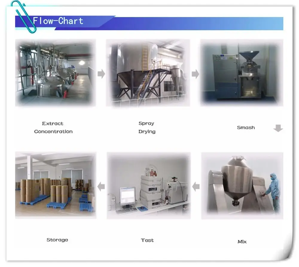 company information1.jpg