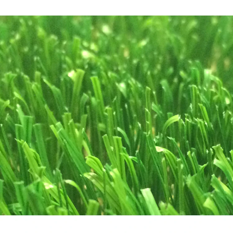 4018ADA-T5-1-stem-ii