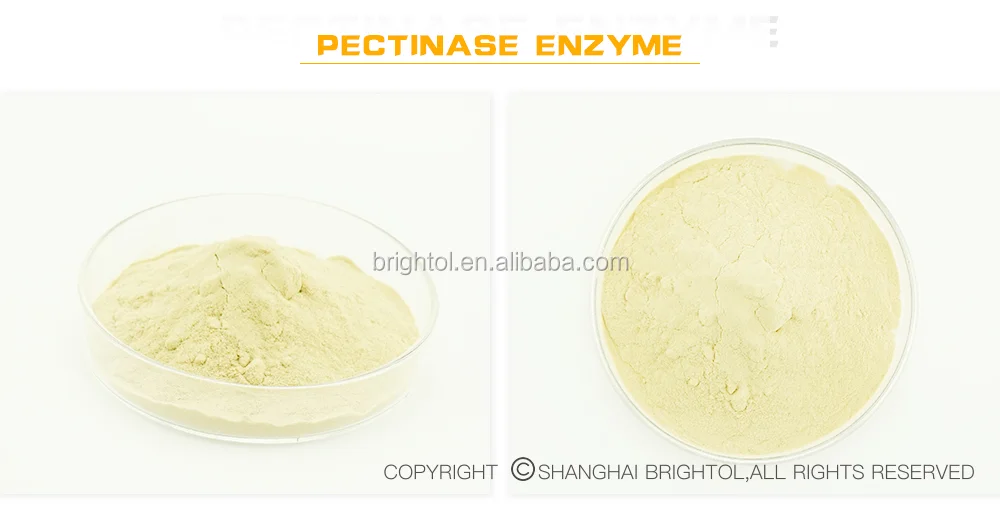 Fruit/vegetable Juice Enzyme/pectinase/cellulase/xylanase/amylase Buy