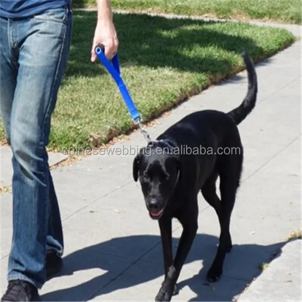 short dog leash