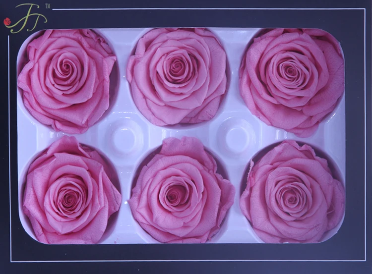 never faded flower.jpg