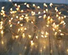 3M 100LED, 8 mode remote control, 3AA battery cluster string lights, copper wire, warm white