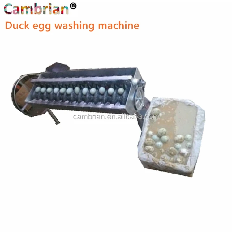 110V Automatic Stainless Steel Egg Washer Electric Egg Duck Egg Washing  Machine