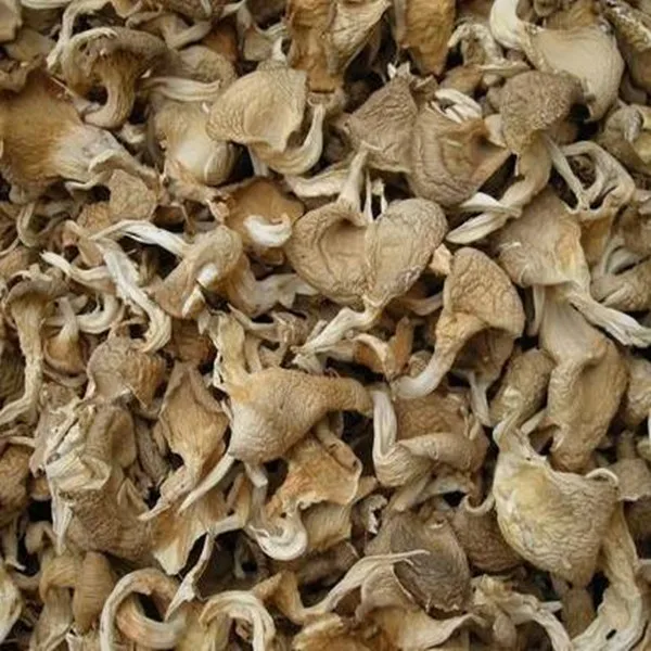 Dried Oyster Mushrooms - Buy Oyster Mushrooms,Dried Oyster ...