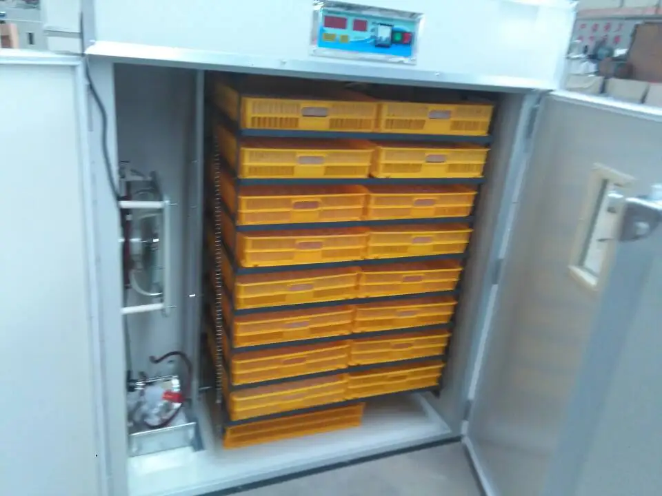 Peacock egg incubator for sale