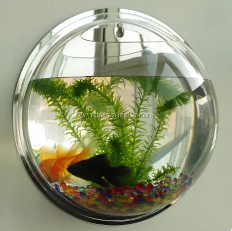 pearl wall mount acrylic fish bowl