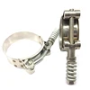 W2 SS201 torsion spring toggle clamps