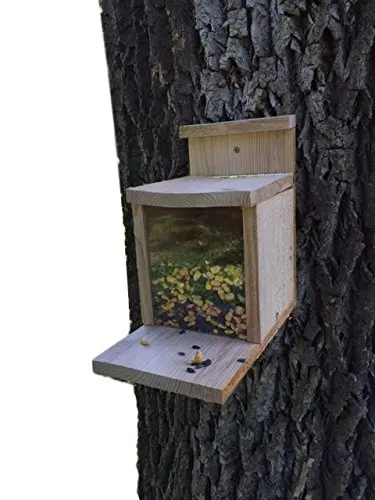 Buy Munch Box Squirrel Feeder Exciting And Fun Way To Feed