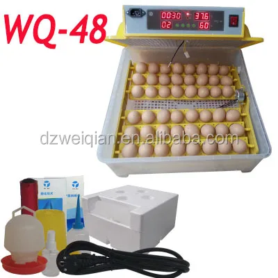 incubator temperature and humidity for chicken eggs