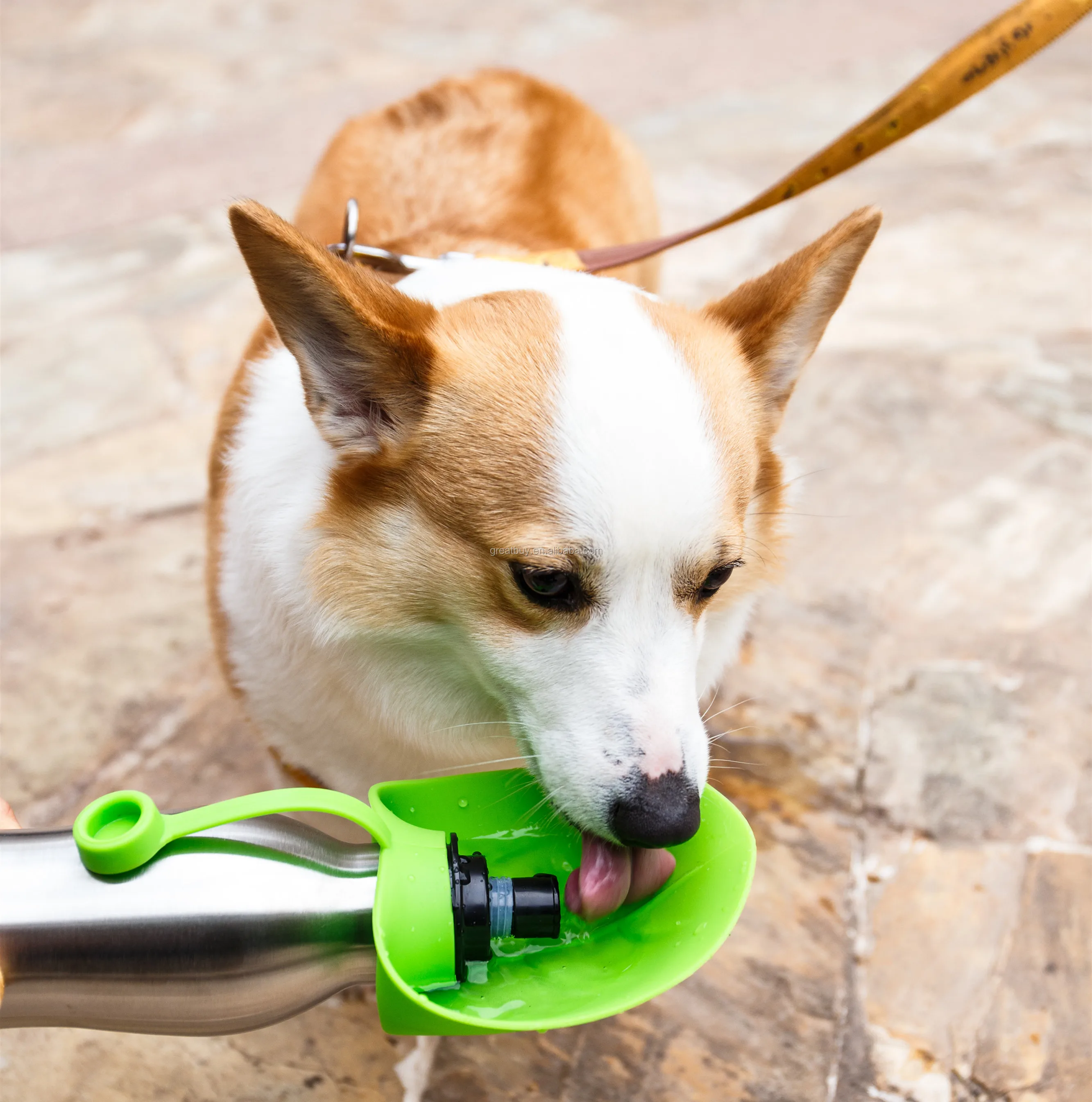 Stainless Steel Silicon Dog Travel Bottle Dog Water Bottle Buy