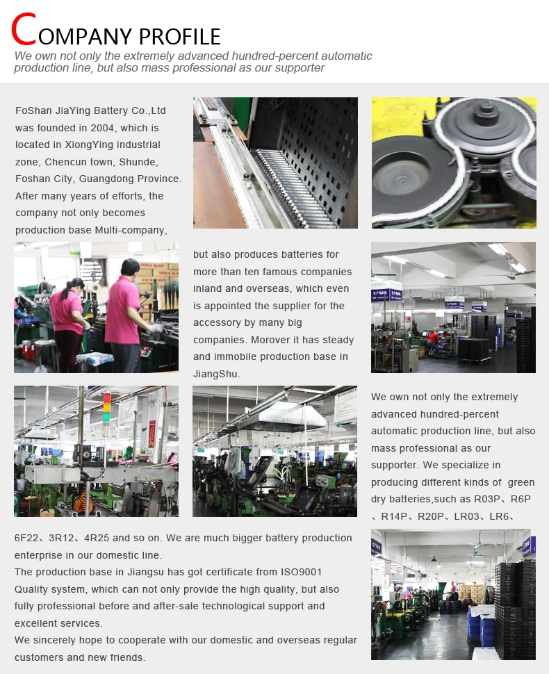 Company Profile