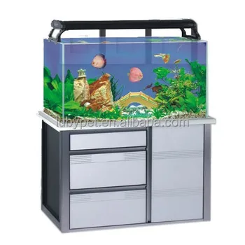 buy fish aquarium