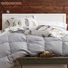Professional Quilt Manufacture Bright Color Luxury Classic Polyester Microfiber Patchwork White Plain Goose Down Quilt