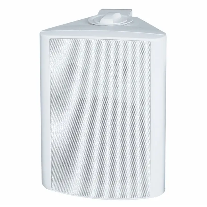 wall WIFI speaker 20W 30W 40W 60W 4inch 5 inch 6inch - ANKUX.COM