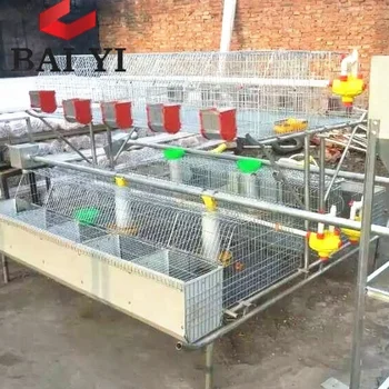 commercial rabbit cages