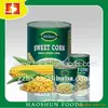 Canned Sweet Corn In Vacuum Packing