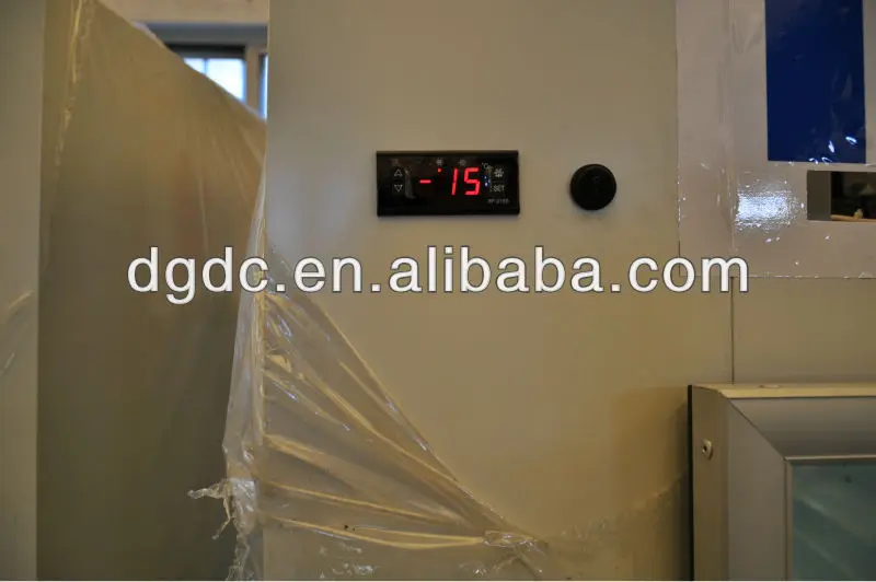 Glass door ice storage bins temperature show.JPG