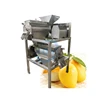small mango juice extractor machine mango beating machine