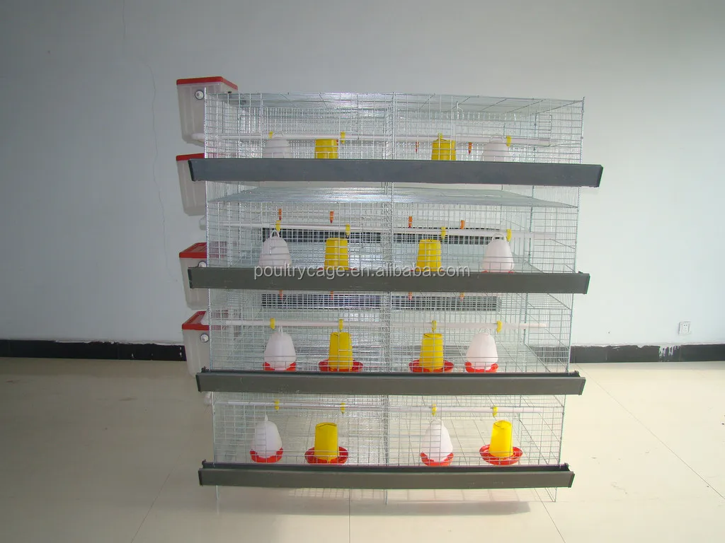 chick cage-15.JPG