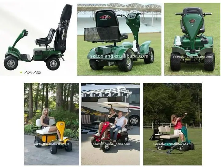 2 Seater Mini Electric Golf Cart With Curtis Controller (axa4) And Ce