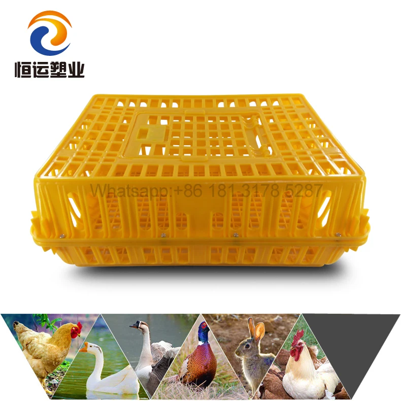 8 chicken transport cage.jpg