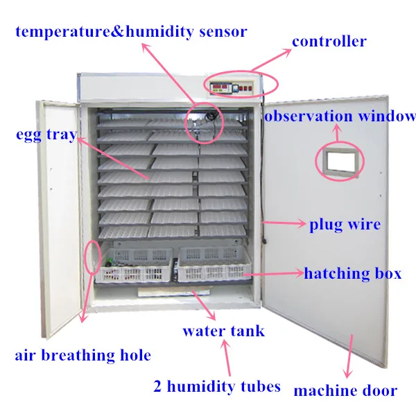 For Philippines Eggs Incubator Chicken Farms Make Chicken ...