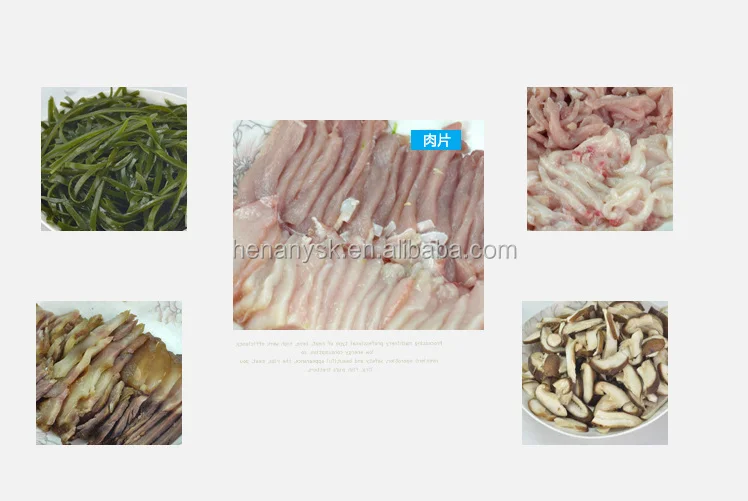 IS-DS-130D Stainless Steel Meat Slice Meat Cutting Machine