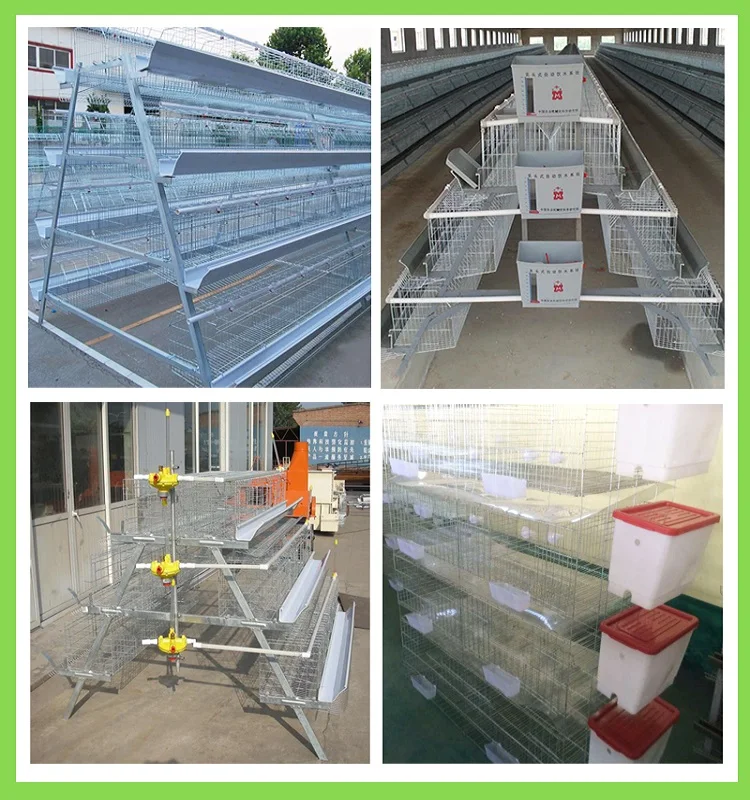  chicken cage for sale