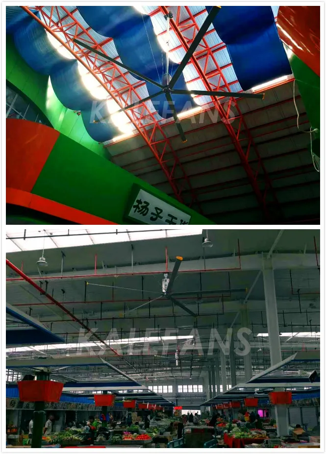 EURUS II Farmer Market.jpg