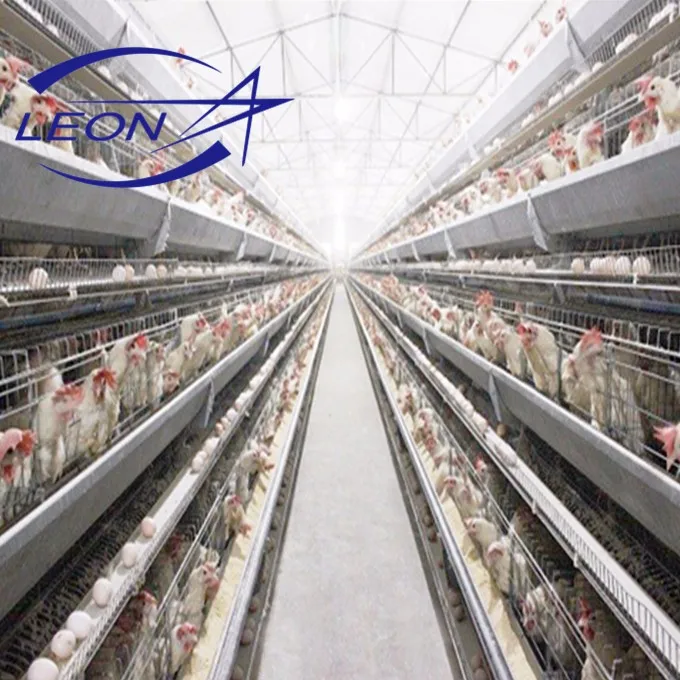 Best Price Complete Automatic Poultry Farm Equipment With Ce