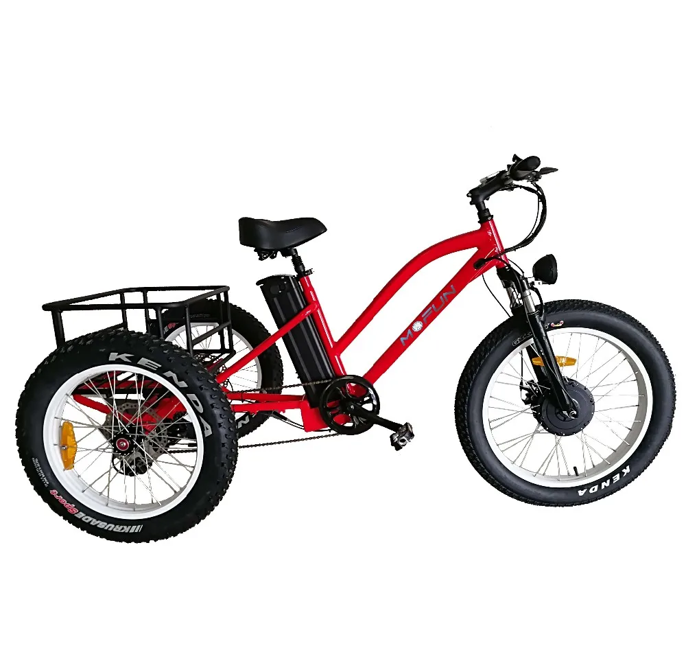 2019 500w 750w 3 Wheel Fat Tire Electric Cargo Bike Tricycle With Cheap ...