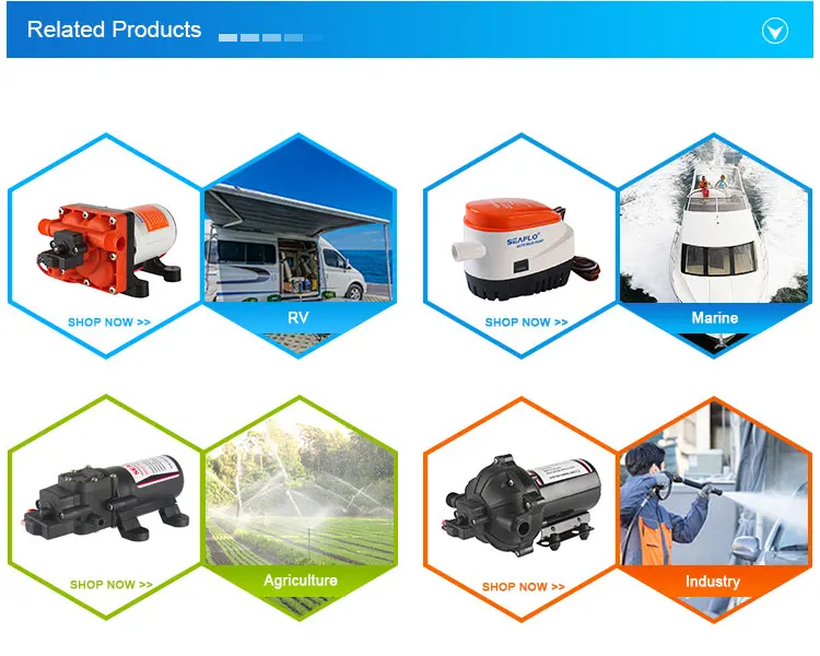 SEAFLO  Up to 5.0 GPM Water Pump 12 Volt For Car Washing